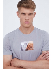 Salewa tricou sport Pure Design Dry culoarea gri, cu imprimeu